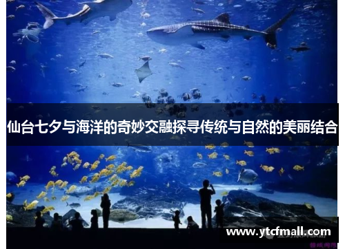 仙台七夕与海洋的奇妙交融探寻传统与自然的美丽结合