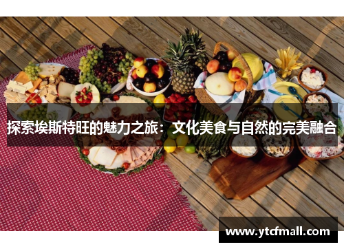 探索埃斯特旺的魅力之旅：文化美食与自然的完美融合