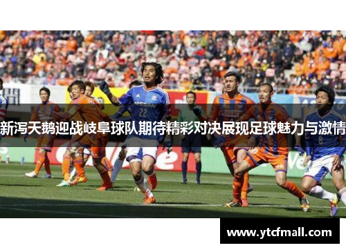 新泻天鹅迎战岐阜球队期待精彩对决展现足球魅力与激情