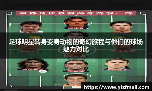 足球明星转身变身动物的奇幻旅程与他们的球场魅力对比